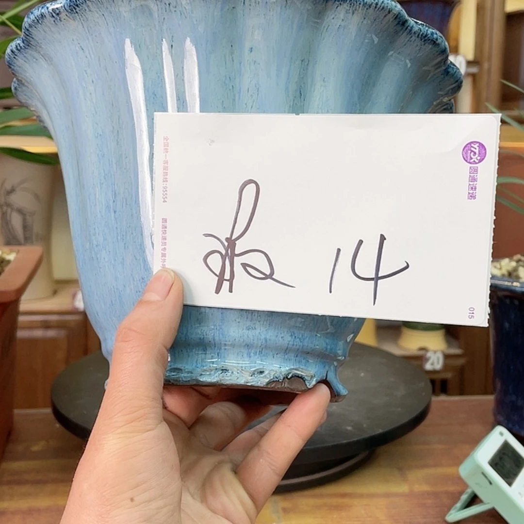 【闪购商品】紫砂花盆兰花755554525555588874