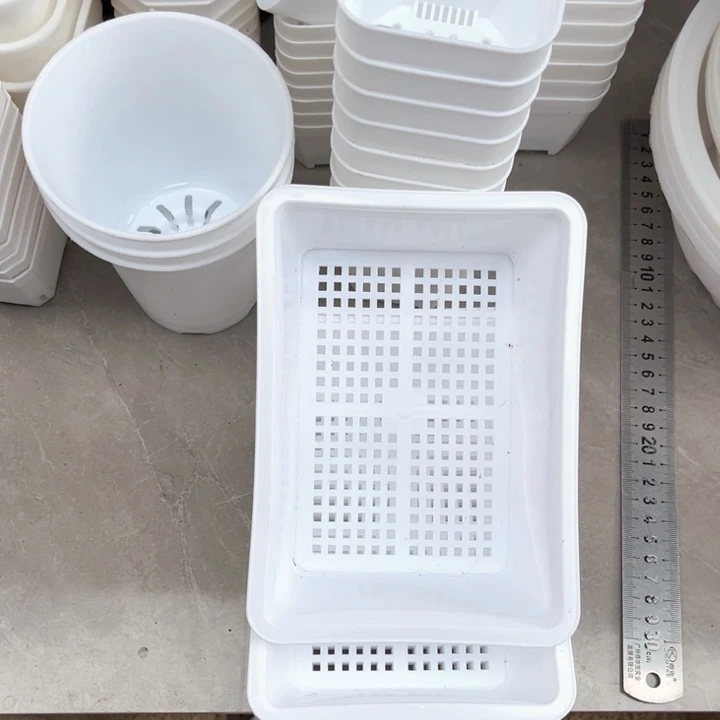 白育苗盘18.-13-6.5一组10个