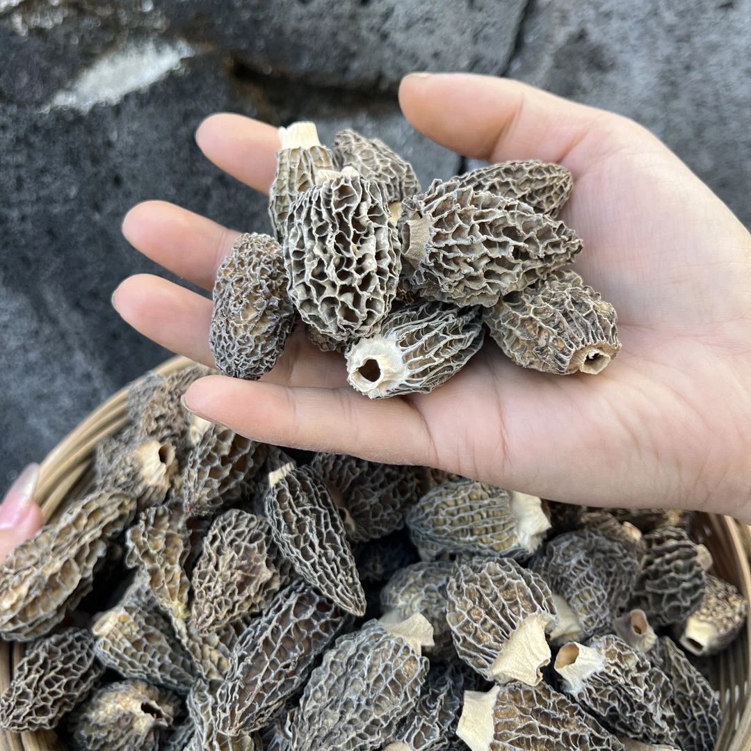云南土特产山货～椭圆羊肚菌～阿红臻选