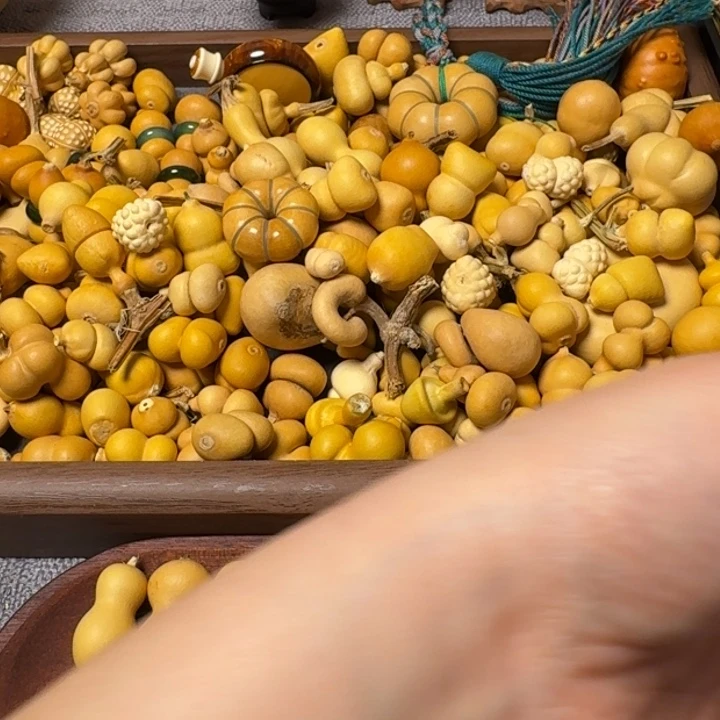 T**崽我的小可爱们都好可爱啊