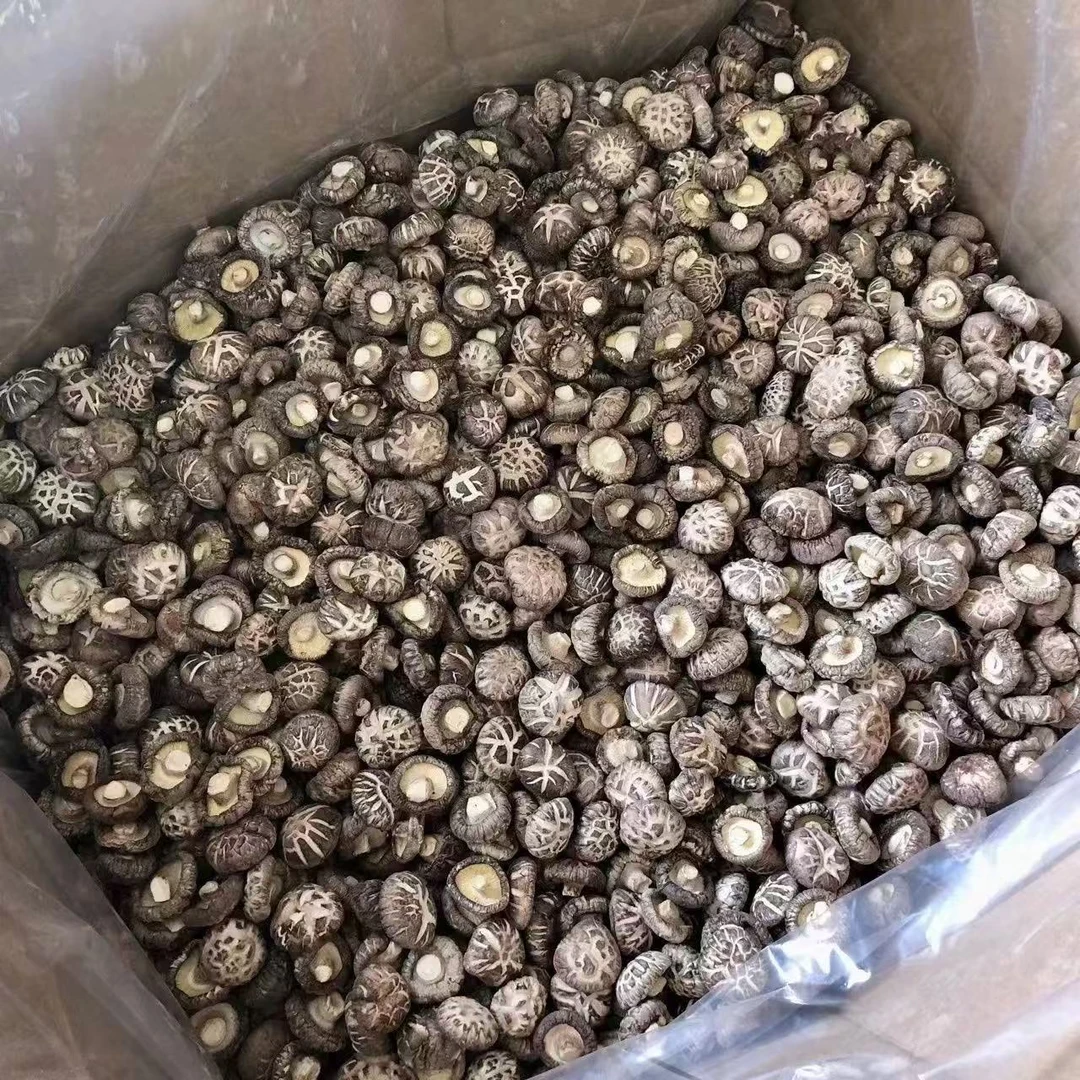 【静静家】小花菇干货250g农家特产小香菇蘑菇煲汤炒菜