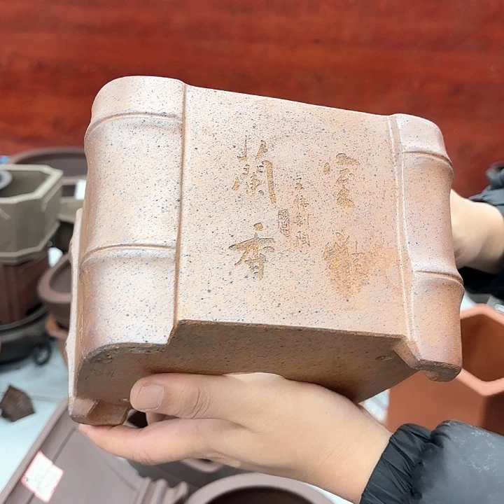 紫砂花盆紫砂的花也太美