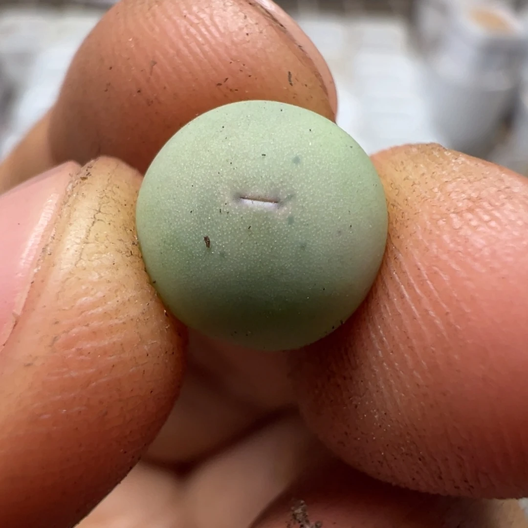 36 号v嘴sh433一物一拍