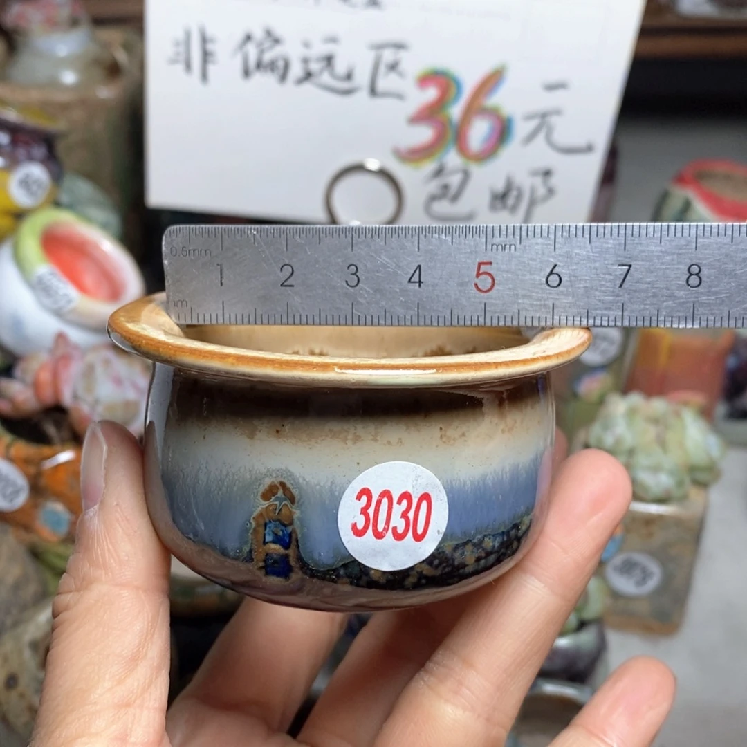 花盆拍5个送一个小礼物