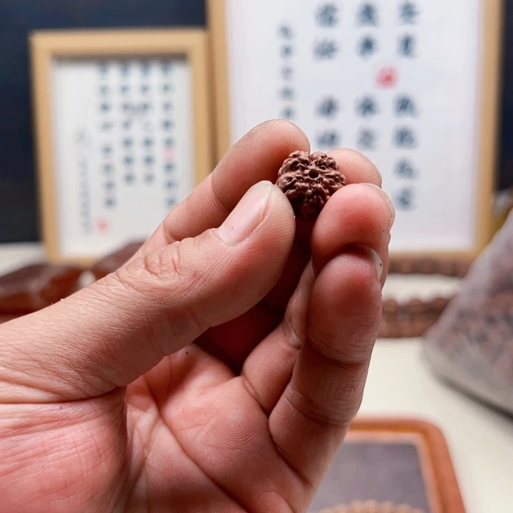 金刚菩提吊坠14尺寸原生态霸王花啦