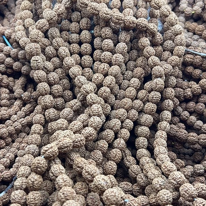 山***糠金刚菩提手串谢谢