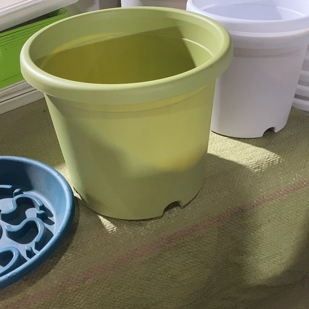 树脂特价3号果绿色10个无拖