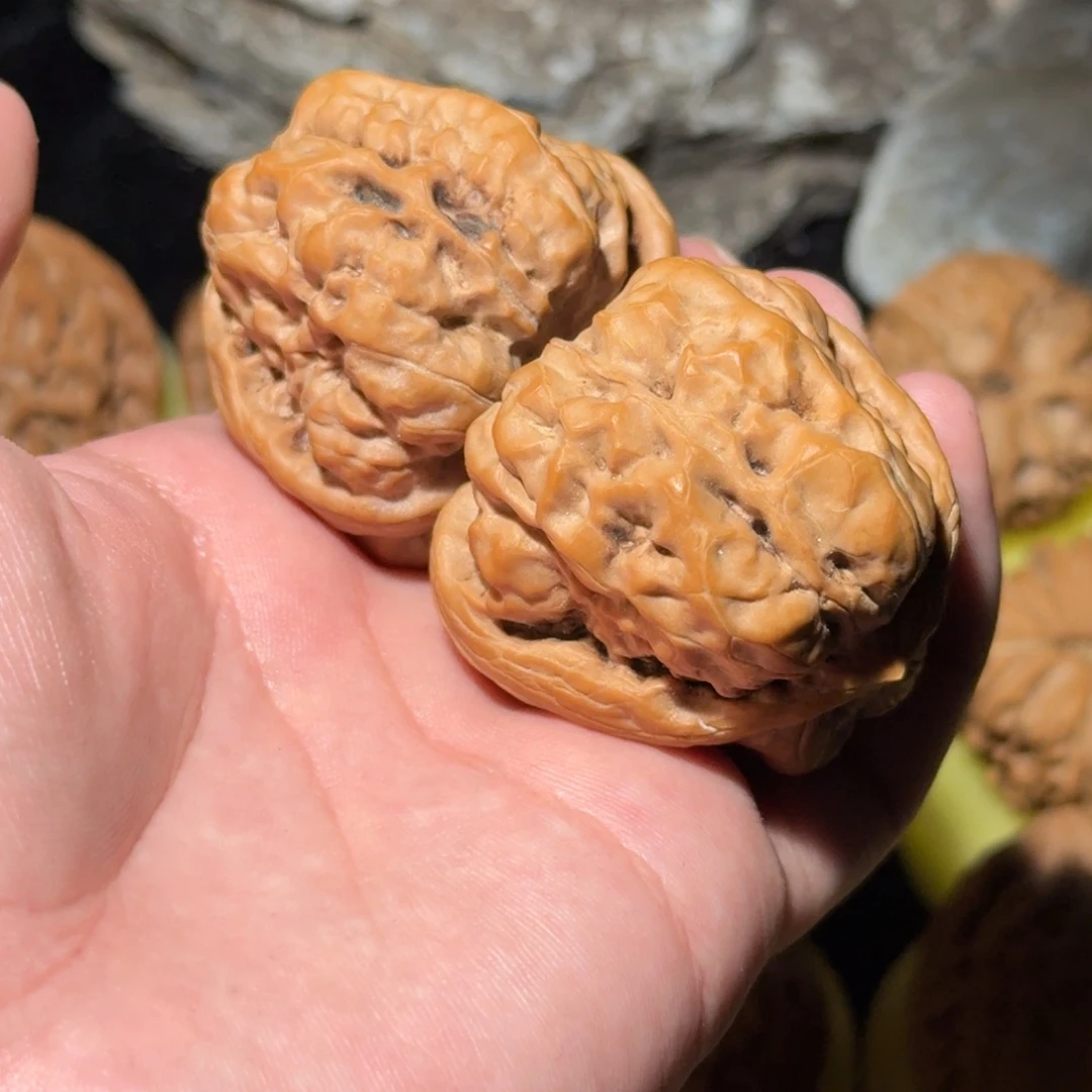 吊坠文玩核桃蛤蟆头