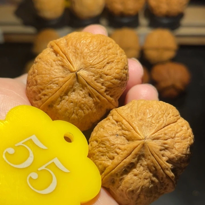 龙蛋36尺寸核桃。