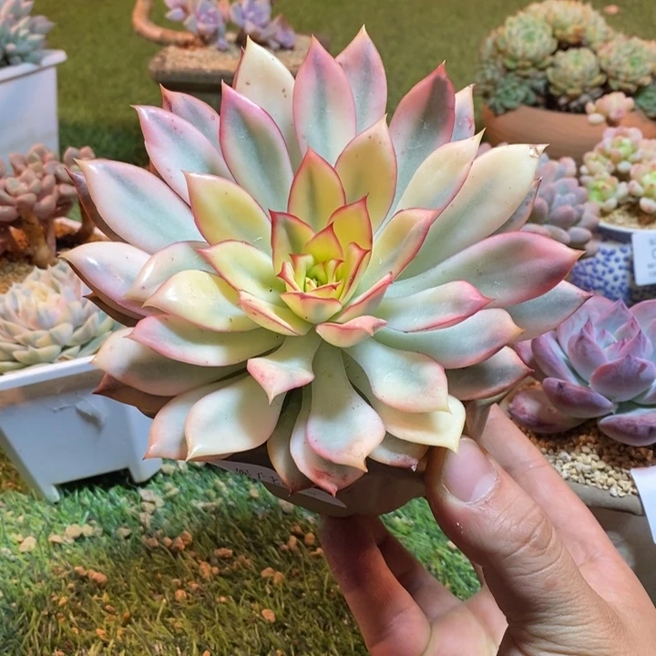 0314啊啊啊啊啊啊啊啊啊啊