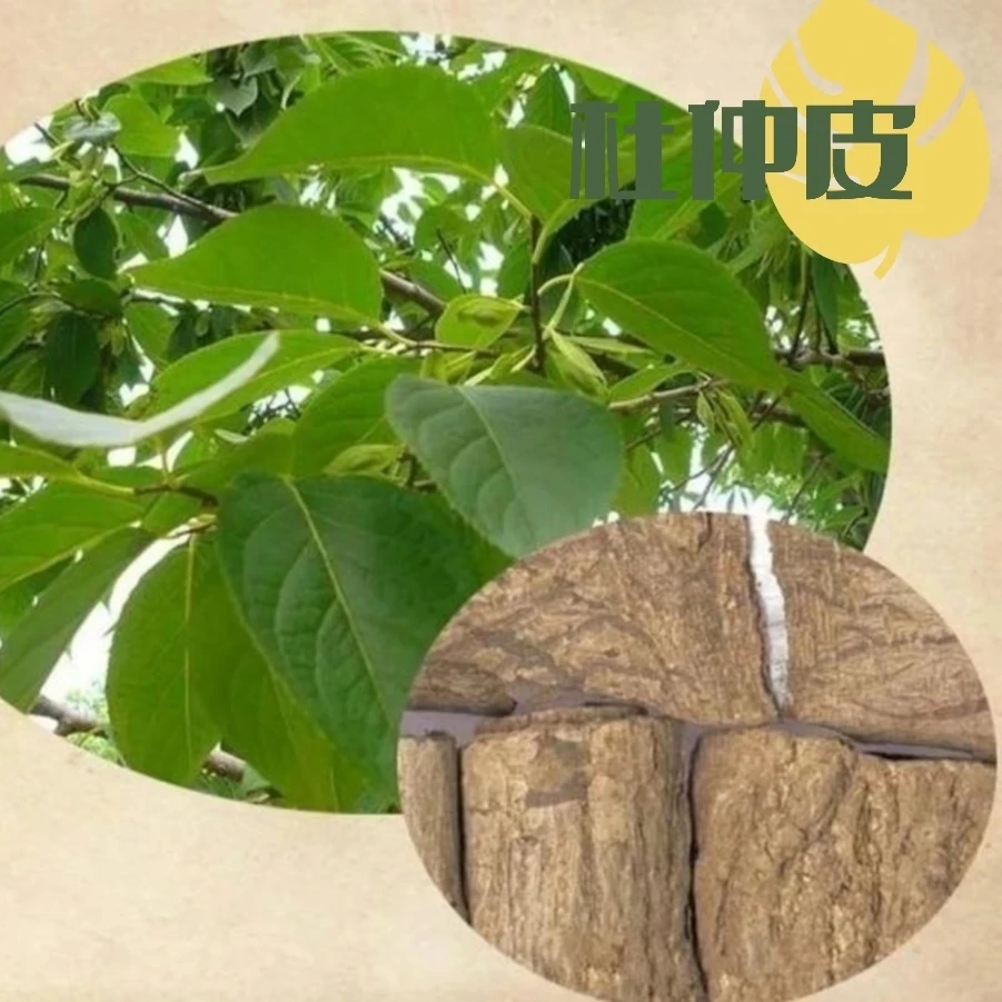 泡酋料，荰仲100g、骨碎补200g等