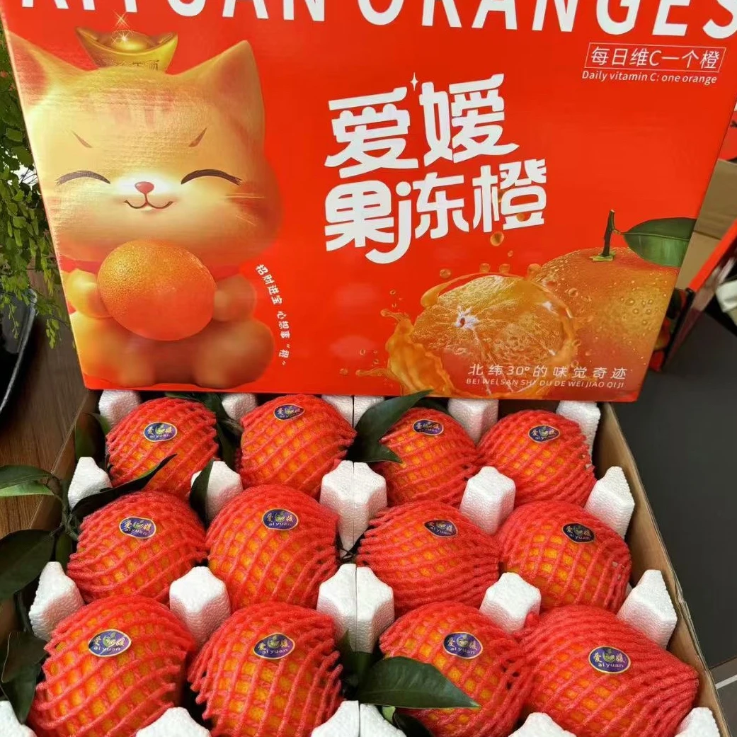 【年货节】甄选礼盒装四川爱媛38号果冻橙12枚装大果送礼佳选