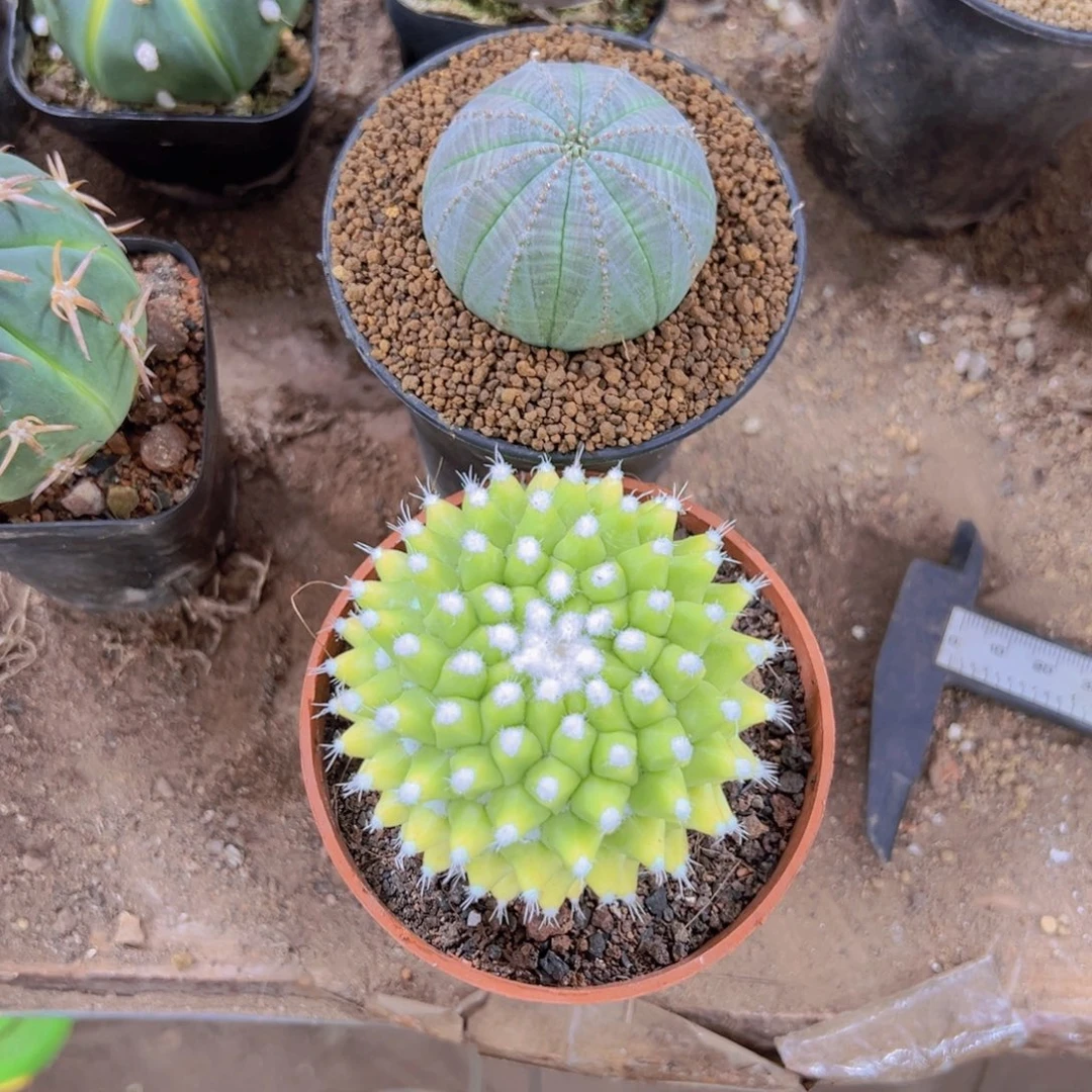 郝***亮3535658686586565