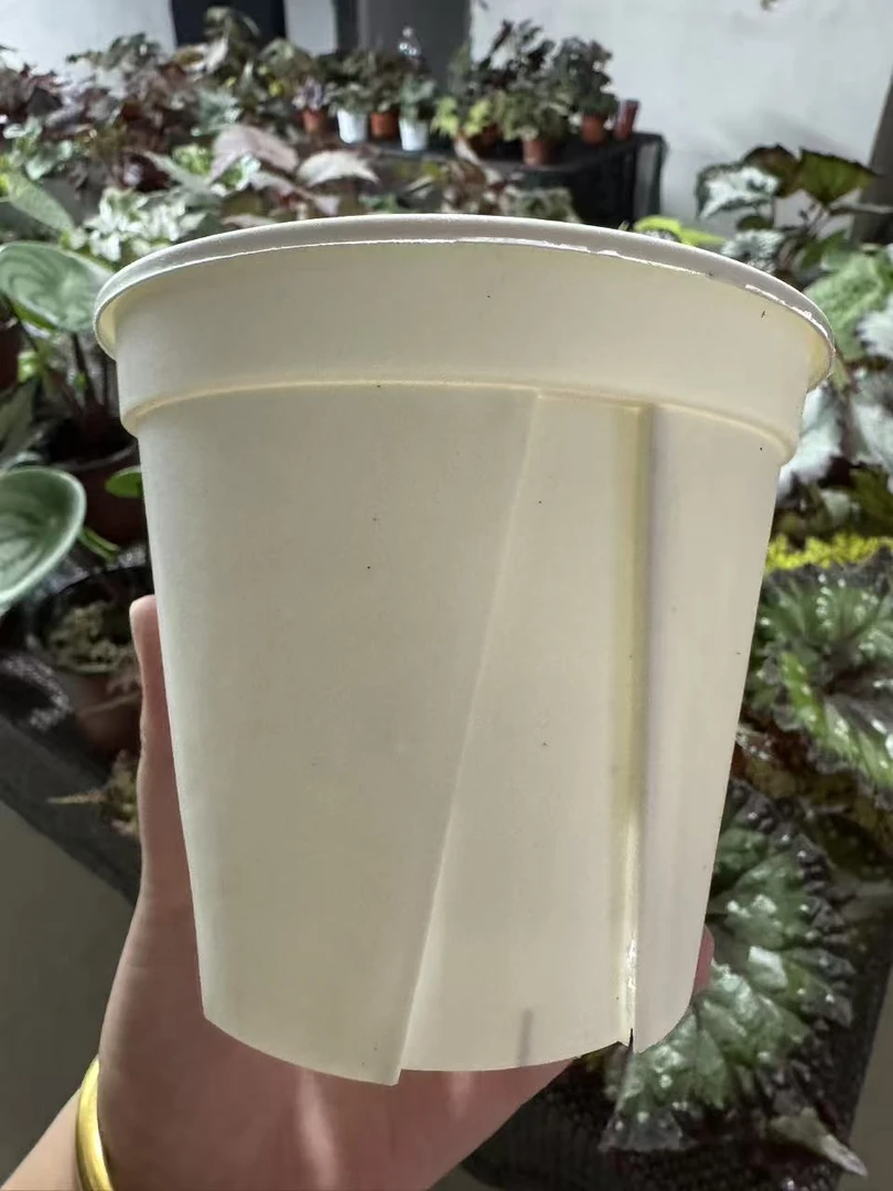 需要青山盆发货拍