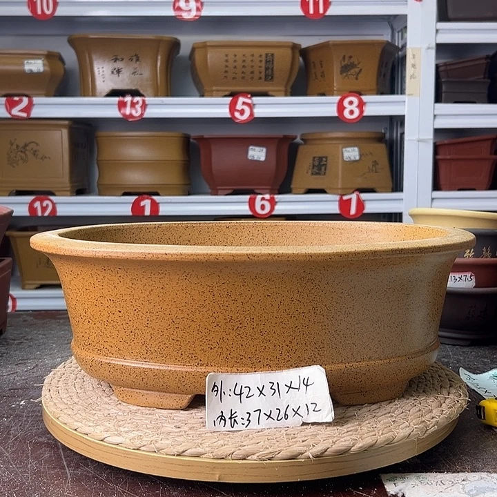 紫砂花盆蛇年大吉