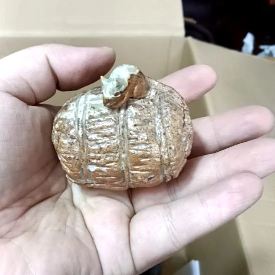 壶基哥日瓷中古精选