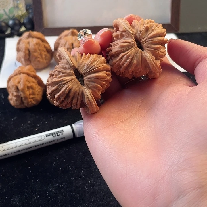大叶紫檀（黑酸枝木类）