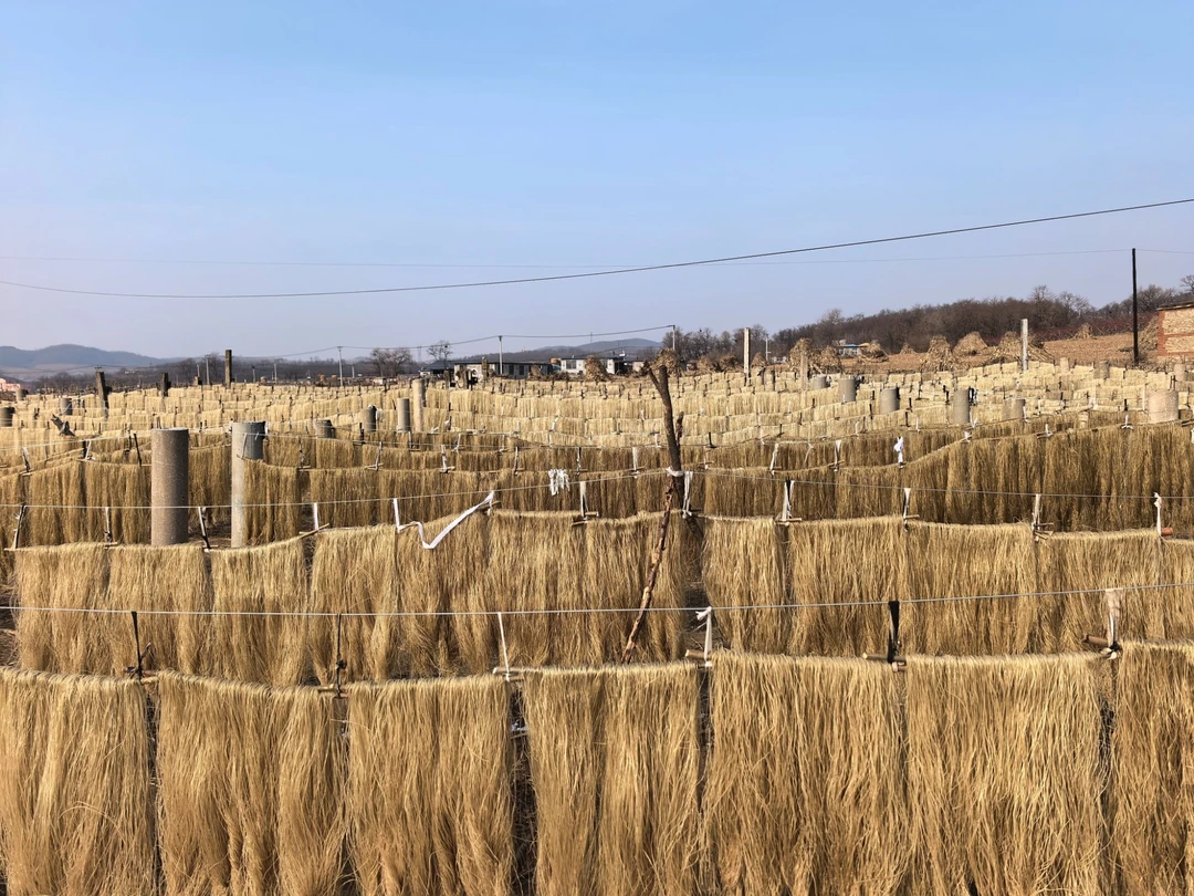 红薯粉条大谭农家传统地瓜粉条手工自然晾晒真红薯粉条（5斤装）