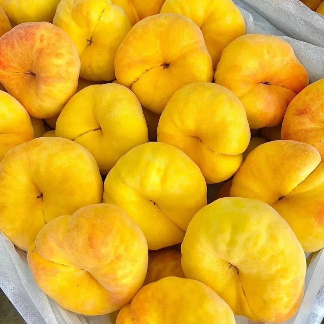 油桃新鲜油蟠桃扁桃蜜桃黄金油蟠桃蒙阴脆甜水果黄桃黄油桃山东