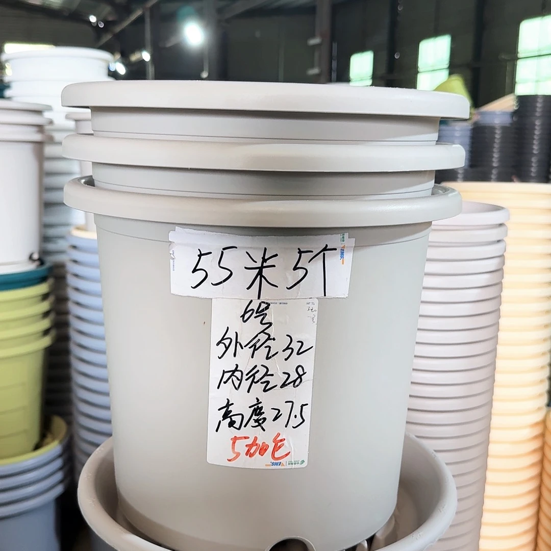 微瑕6#无拖果绿色5个
