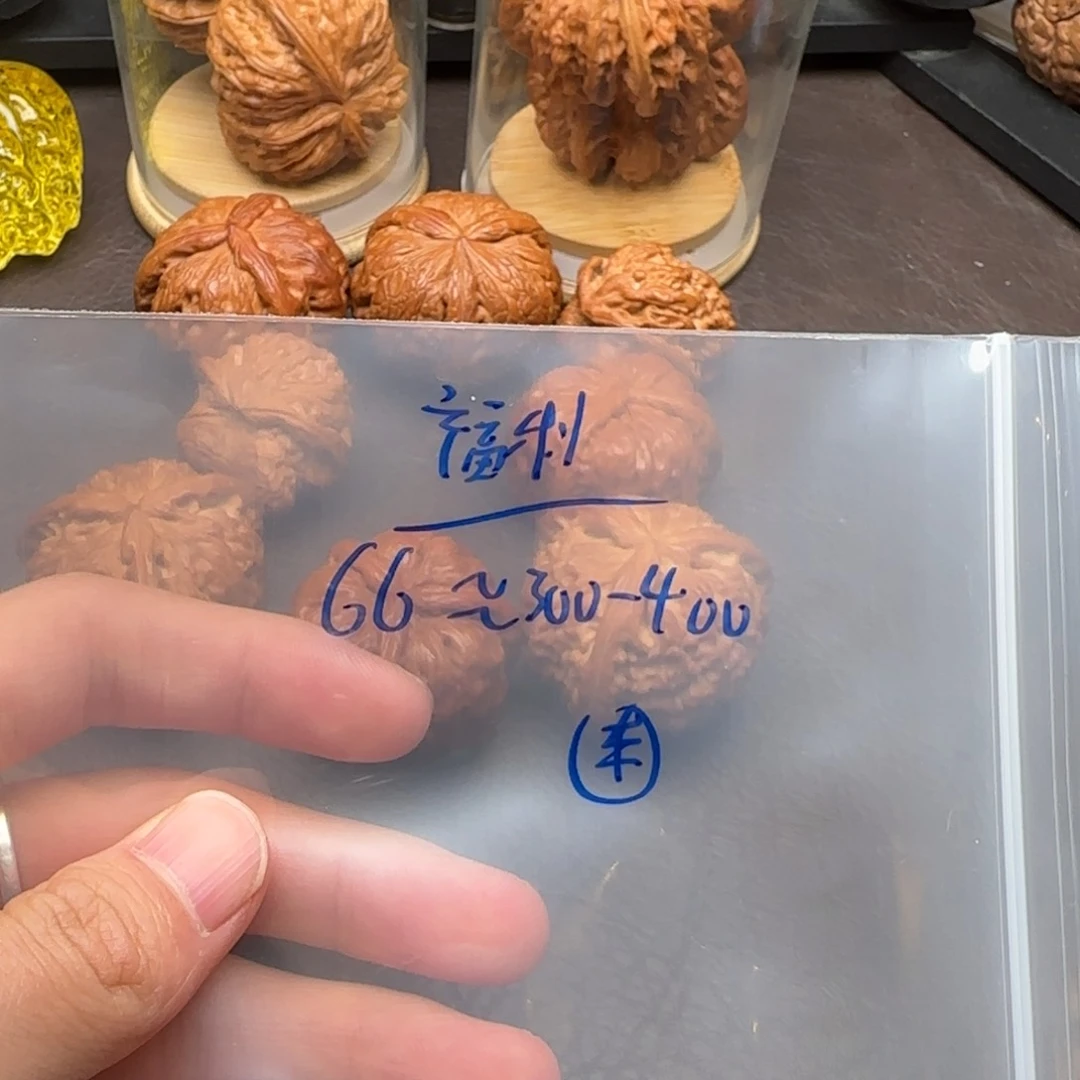 核桃等经济作物的种植