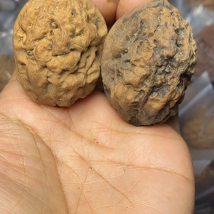 文玩核桃把件云南铁核桃53