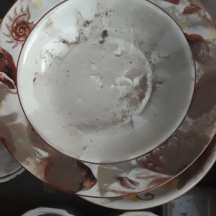 瓷汤盘口径22国营四厂库存，