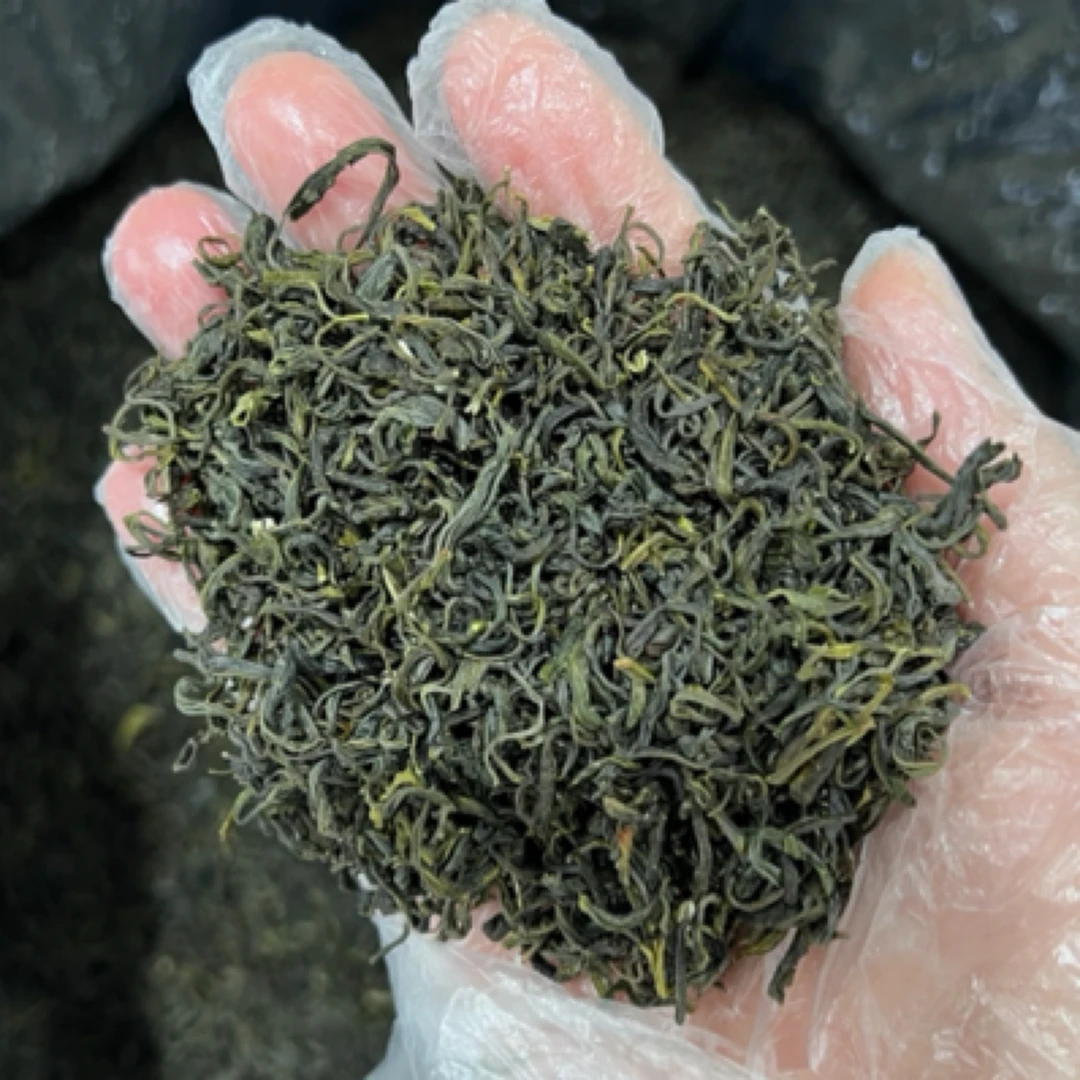 陕西安康紫阳富硒茶 炒青绿茶