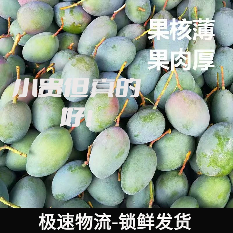 【假一赔十正宗凯特】攀枝花大脸芒果孕妇可吃夏季水果甜热带茫新鲜