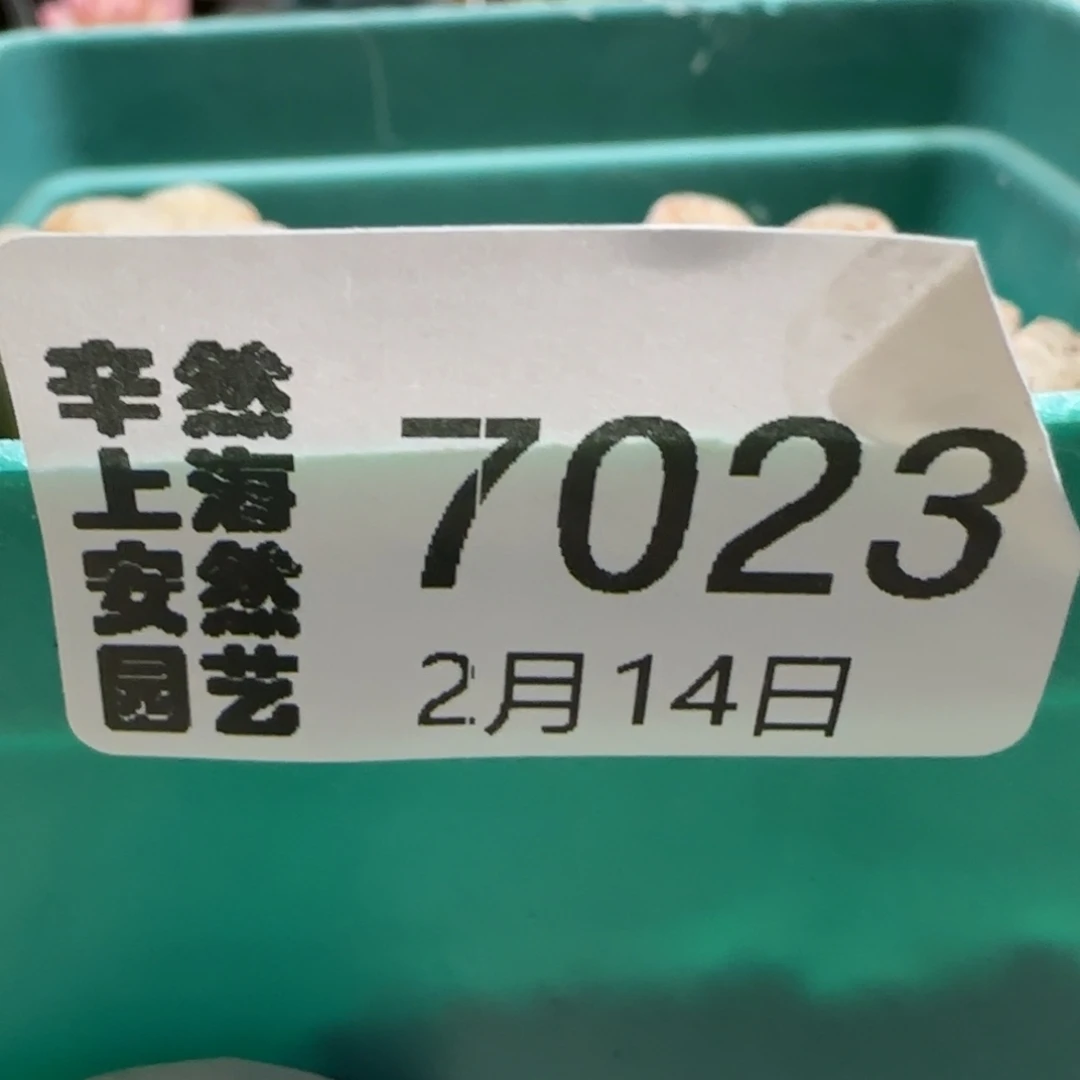 y****雅2。14。7023带绿盆一起c 24 饼干清盒