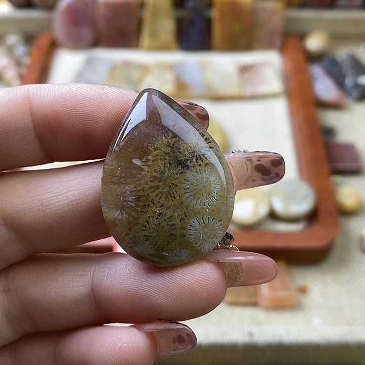 硅化珊瑚（珊瑚玉）未镶嵌颈饰