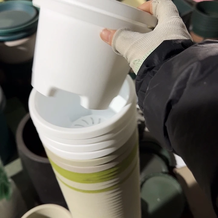 球根17口径10个无托白色