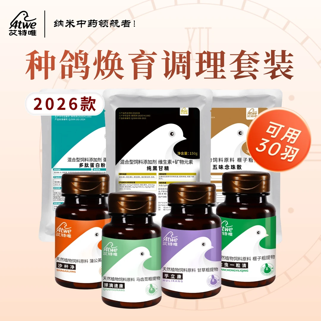 艾特唯【种鸽调理套装+2026款清理补体种鸽配对必备】