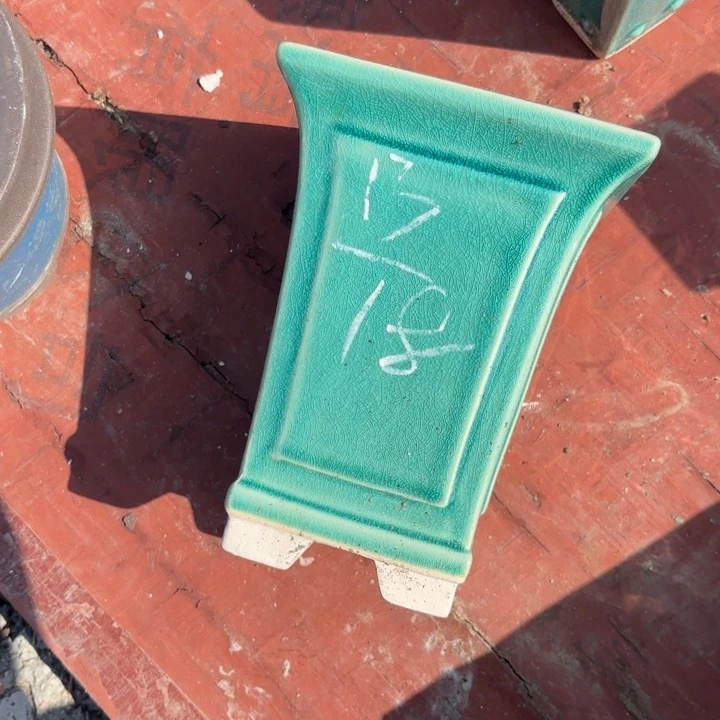 花盆紫砂紫砂的花