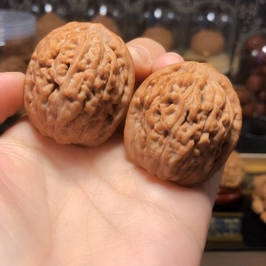 高端小众：原桩莲花
