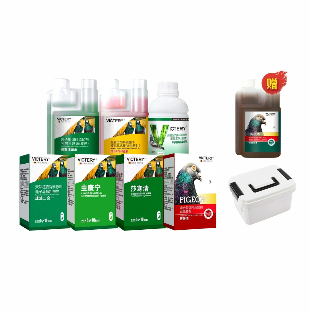 汉诺威种鸽调理套餐