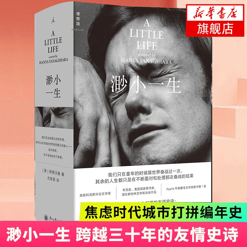 渺小一生柳原汉雅着跨越三十年的友情史诗焦虑时代城市打拼编年史