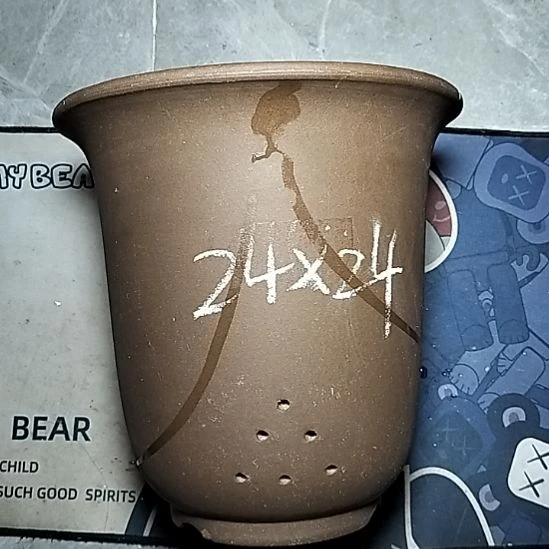 特大金钟一个花盆