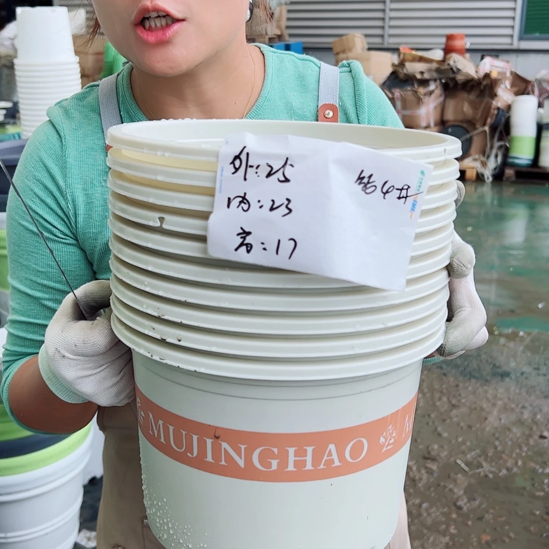 瑕疵矮胖4#米白色10个无托