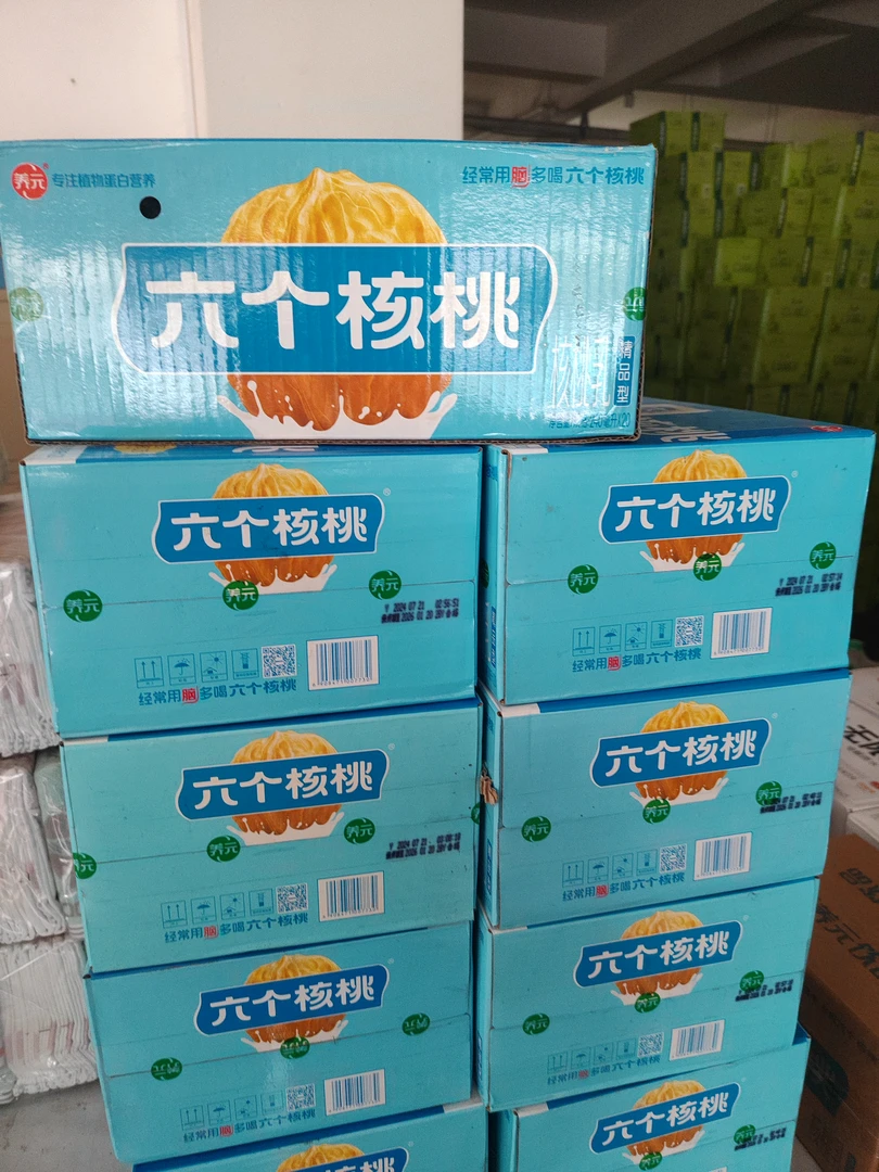 精品型六个核桃 240ml*20 爆卖中南丹同城自提送礼佳品