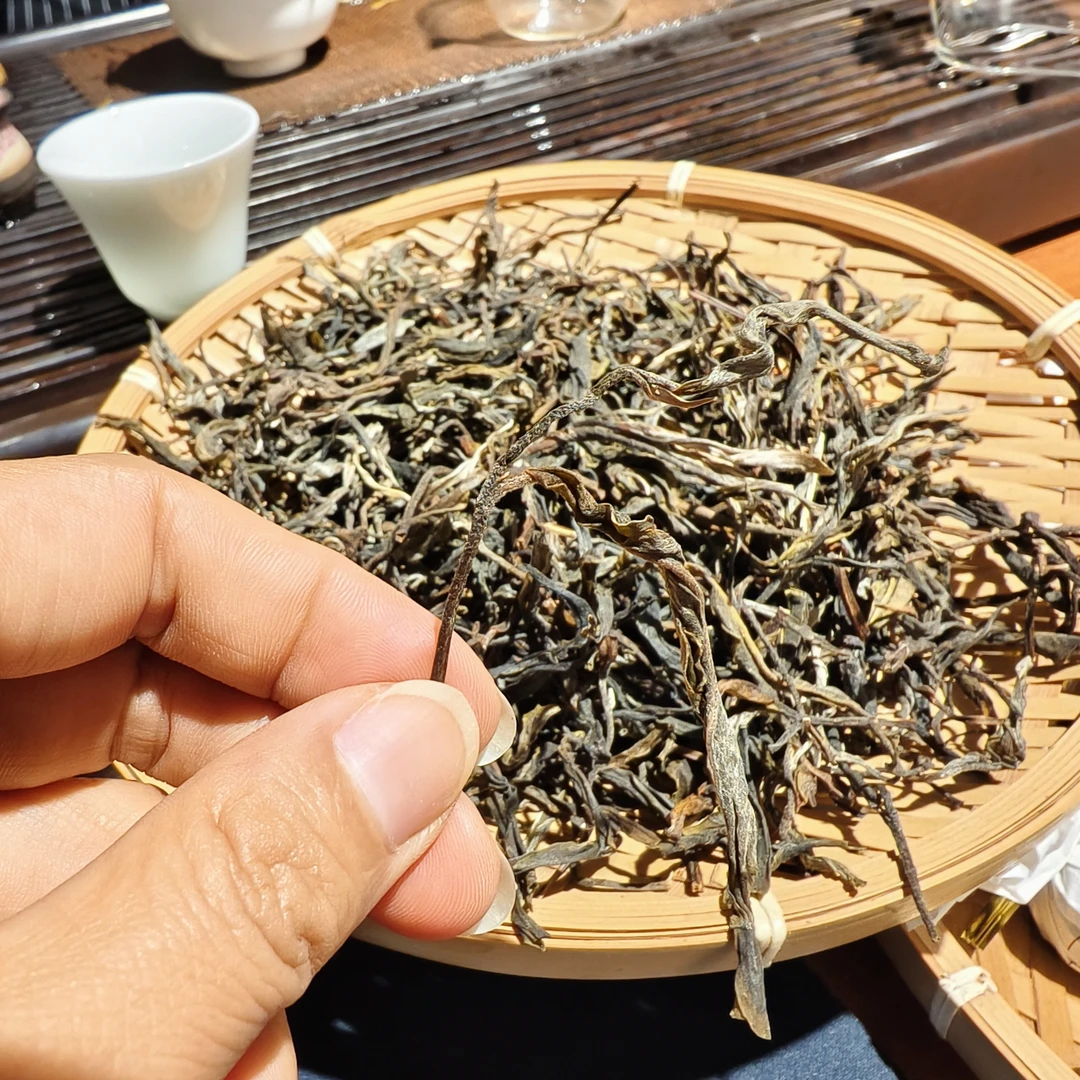 易武纯手工制作2025年蚂蝗窝普洱生茶散1000克/饼