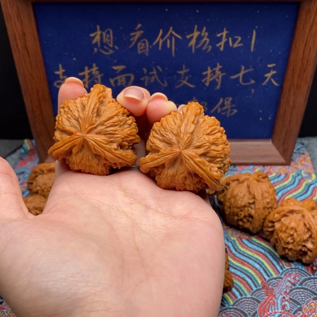 【闪购商品】壮**爹白狮