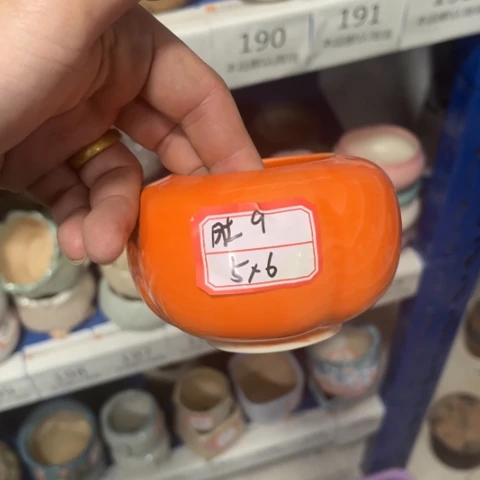 ［所有订单凑满15包邮］5+6