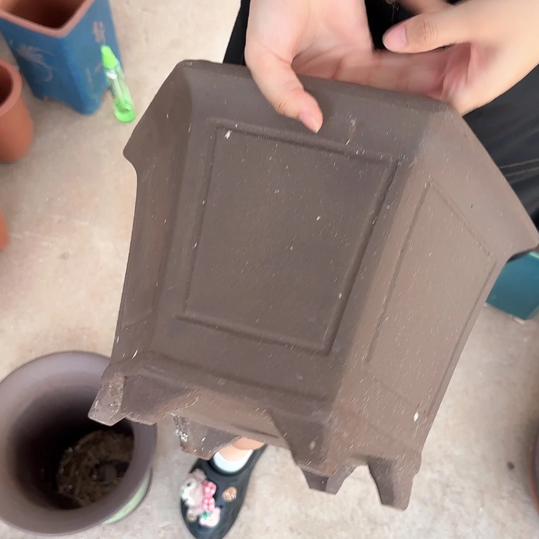 紫砂花盆瑕疵家里了