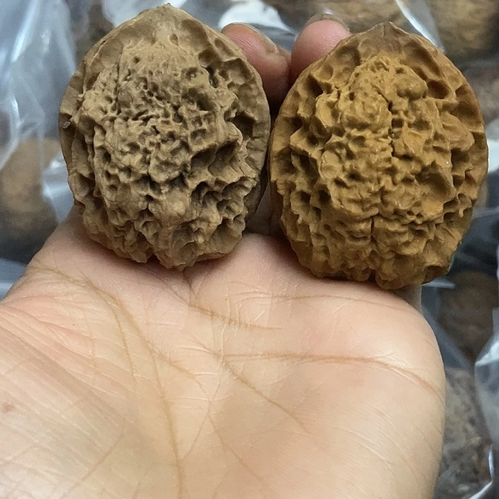 把件文玩核桃云南铁核桃基地30