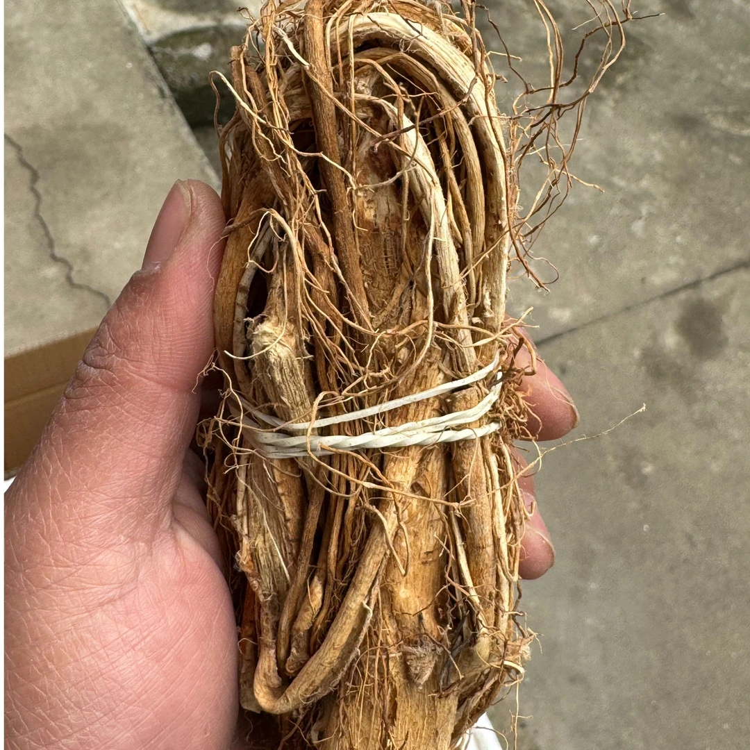 【现买现称】广西苗山土特产—五指毛桃