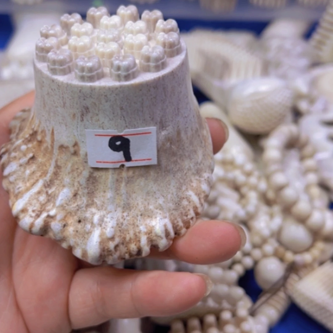 【闪购商品】砖雕夕鹿角鹿角特价