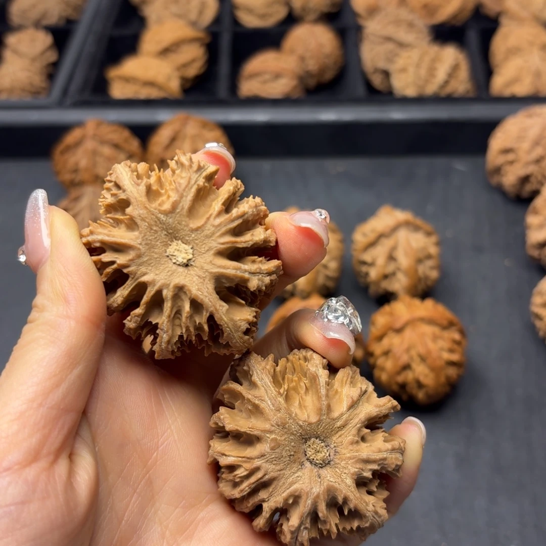 A***.桃木突突突突突突突