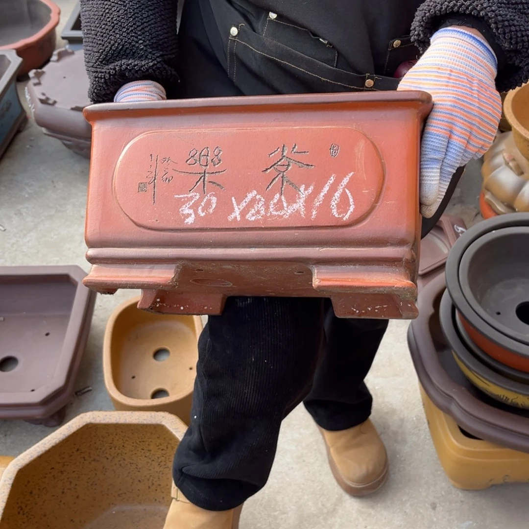 紫砂花盆盆景艺术