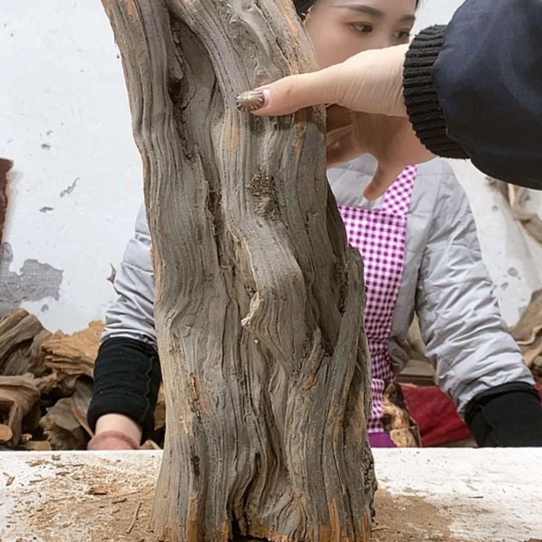 【闪购商品】柏木下*虎我们都是好孩子